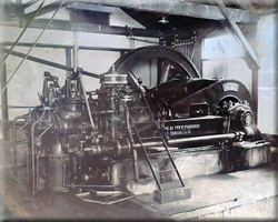 白象唐子遊図皿