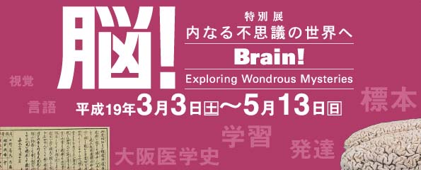 特別展　脳！－内なる不思議の世界へ　主な展示資料