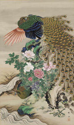 牡丹孔雀図 中村晩山筆