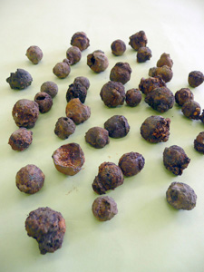 鉄砲玉