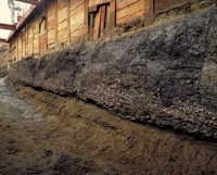写真1:森の宮遺跡で見つかった貝塚