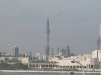 移動中に見えた東京スカイツリー