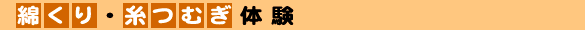 手作りおもちゃで遊ぼう！