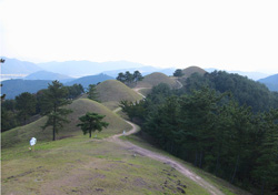 大加耶の王墓群、池山洞古墳群（慶尚北道）　画像