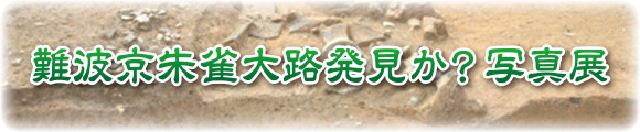 後期難波宮でふたつの区画を発見 メインタイトル