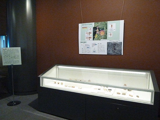 クリックで拡大表示 展示風景