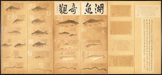 湖魚奇観