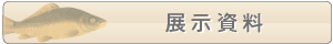 展示資料