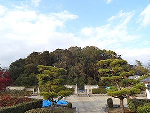 市庭古墳の後円部（前方部は平城宮建設で破壊）