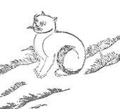 『三才図会』の猫