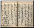 願懸重宝記