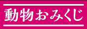 動物おみくじ