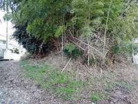今も残る高屋城の土塁