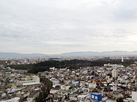 堺市役所展望台から見える大山古墳(仁徳陵)