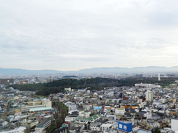 堺市役所展望台から見える大山古墳(仁徳陵)