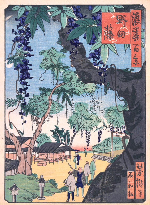 「浪花百景」より野田藤