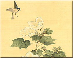 芙蓉小禽図