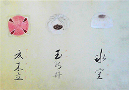 夏木立(上写真:左)