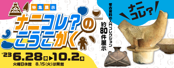 ナニコレ？のこうこがく