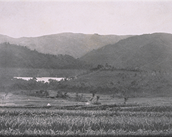 生駒山