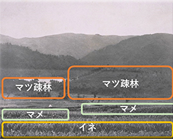 生駒山